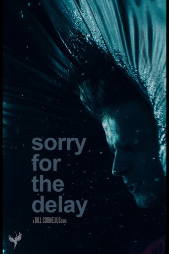 Sorry for the Delay movie poster
