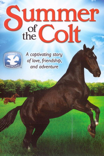 Summer of the Colt movie poster