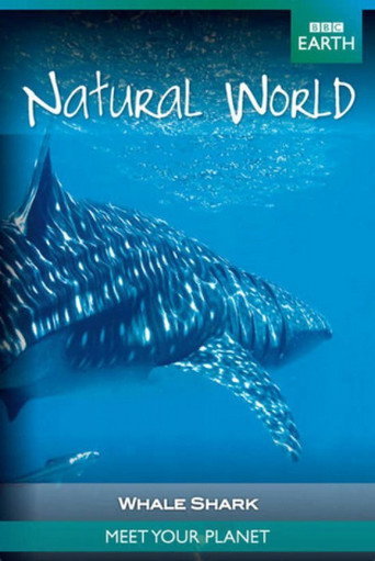 Whale Shark movie poster