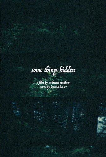 Some Things Hidden movie poster