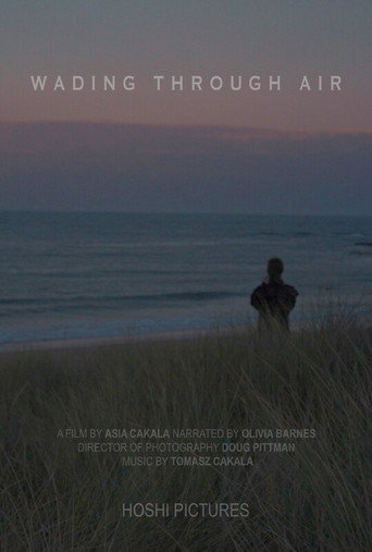 Wading Through Air movie poster
