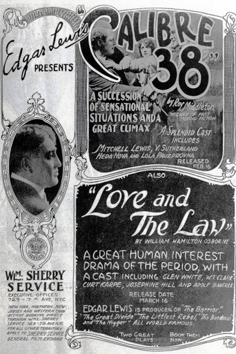Love and the Law movie poster