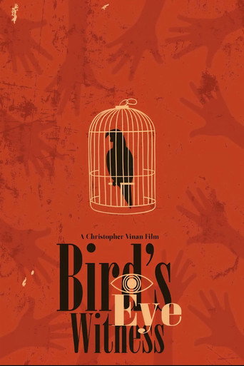 Bird's Eye Witness movie poster