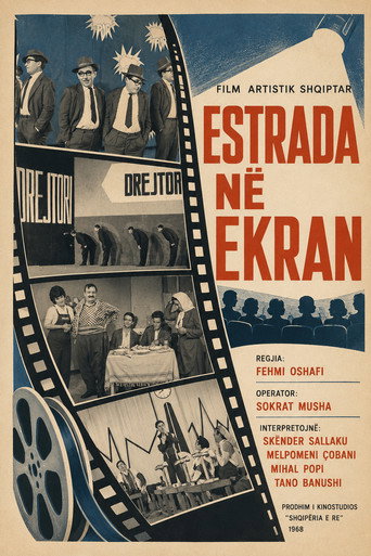 Estrada on the Screen movie poster