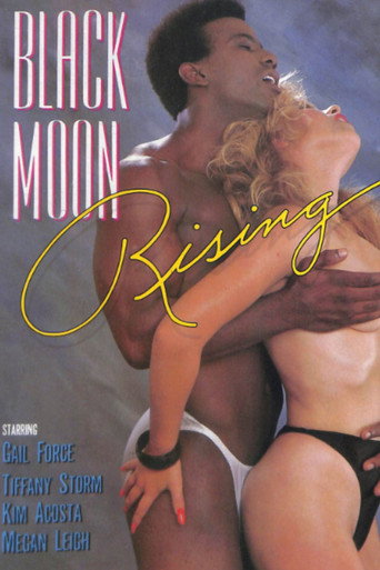 Black Moon Rising movie poster
