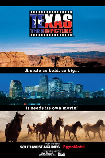 Texas: The Big Picture movie poster