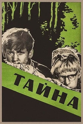 Secret movie poster