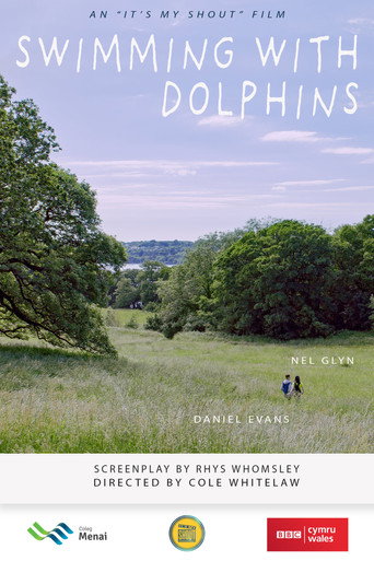 Swimming With Dolphins movie poster