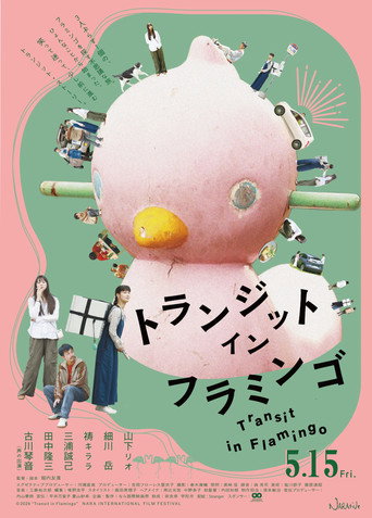 Transit in Flamingo movie poster