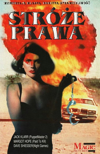 Sex Crimes movie poster