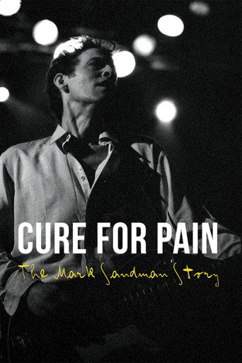 Cure for Pain: The Mark Sandman Story movie poster