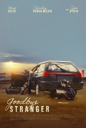 Goodbye Stranger movie poster
