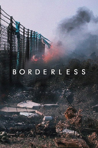 Borderless movie poster