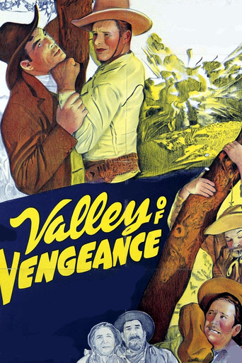 Valley Of Vengeance movie poster