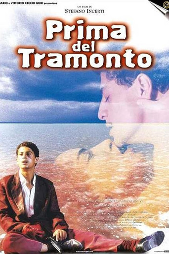 Before the Sunset movie poster