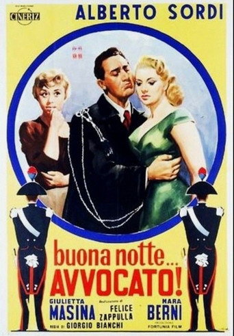 Good night… lawyer! movie poster