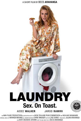 Laundry movie poster