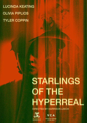 Starlings of the Hyperreal movie poster