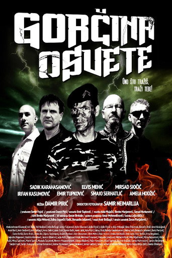 The Bitterness of Revenge movie poster