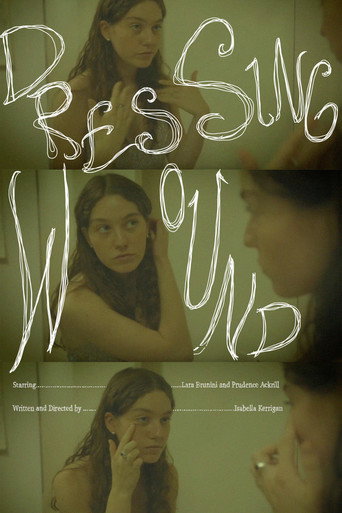 Dressing Wound movie poster