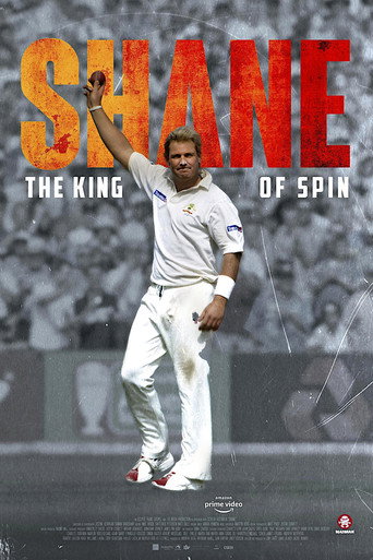 Shane movie poster