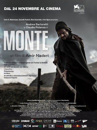 Mountain movie poster