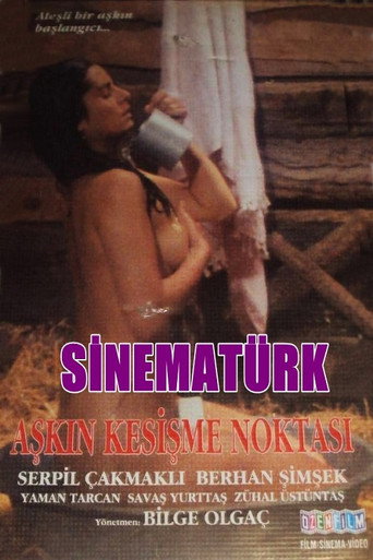 Aşkın Kesişme Noktası movie poster