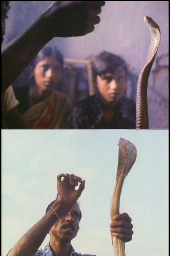 Serpent Mother movie poster