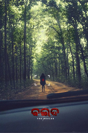 Baida movie poster