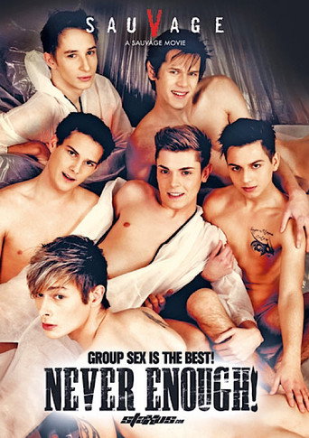 Never Enough movie poster