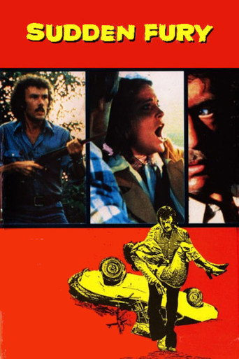 Sudden Fury movie poster