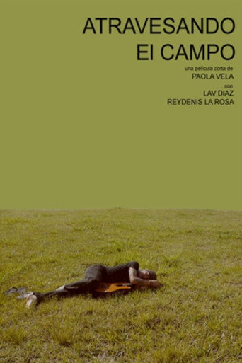 Atravesando el campo movie poster