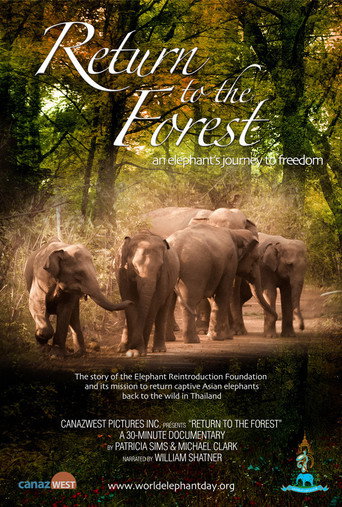 Return to the Forest movie poster