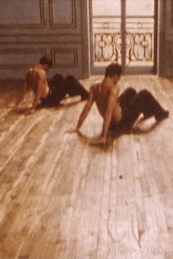 Les Raboteurs movie poster