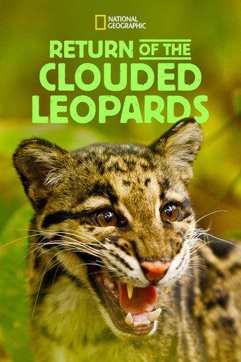 Return of the Clouded Leopards movie poster