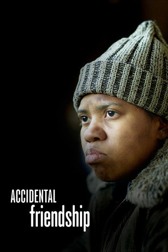 Accidental Friendship movie poster