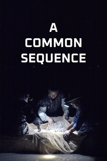 A Common Sequence movie poster