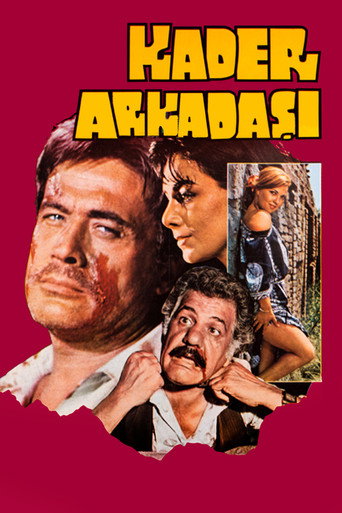 Kader Arkadaşı movie poster