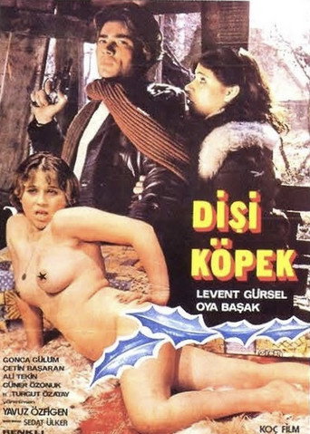 Dişi Köpek movie poster