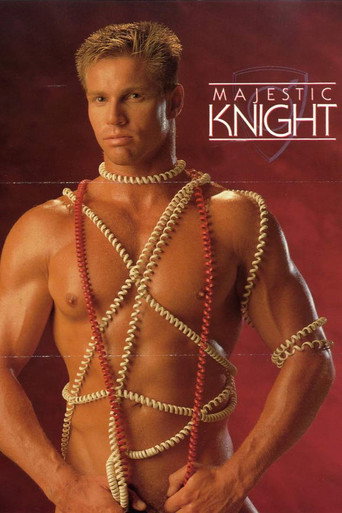 Majestic Knights movie poster