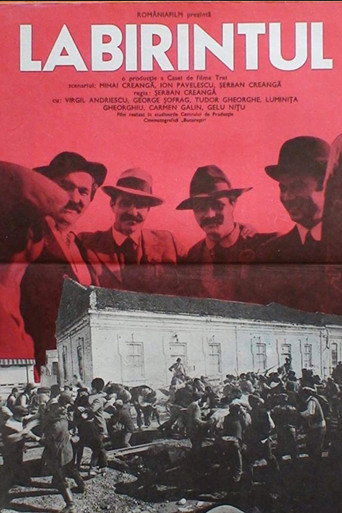 Labirintul movie poster