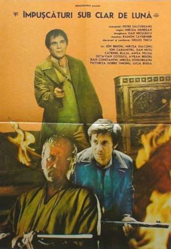 Shootings Under the Moonlight movie poster