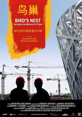 Bird's Nest - Herzog & de Meuron in China movie poster