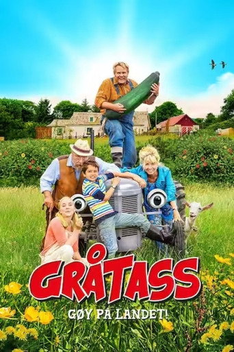 Little Grey Fergie: Country Fun! movie poster