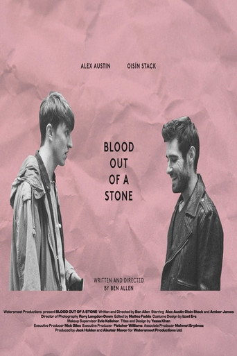 Blood Out of a Stone movie poster