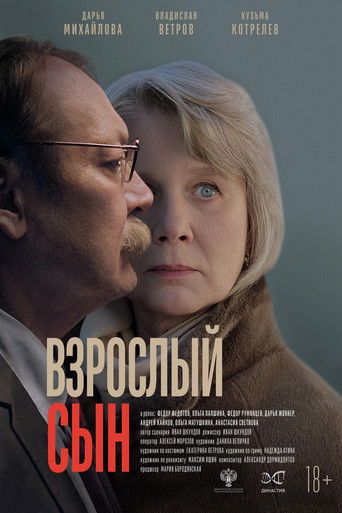 The Adult Son movie poster