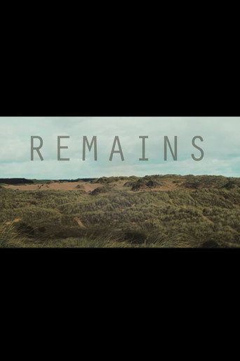 Remains movie poster
