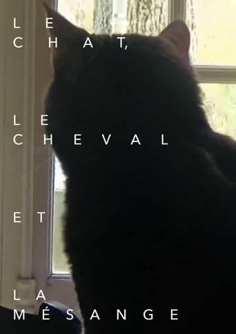 Le chat, le cheval et la mésange movie poster