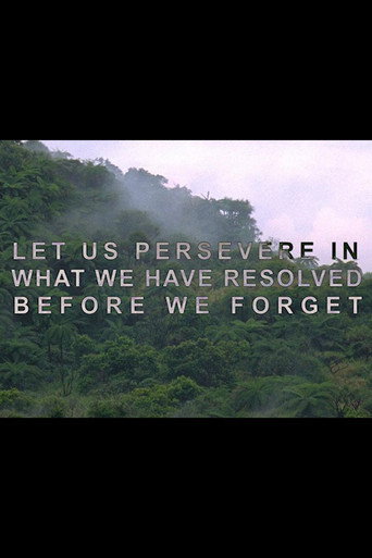 Let Us Persevere in What We Have Resolved Before We Forget movie poster