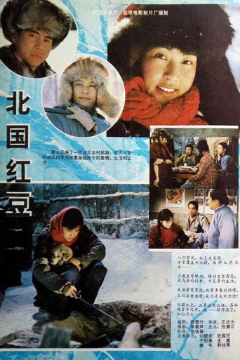 Bei guo hong dou movie poster